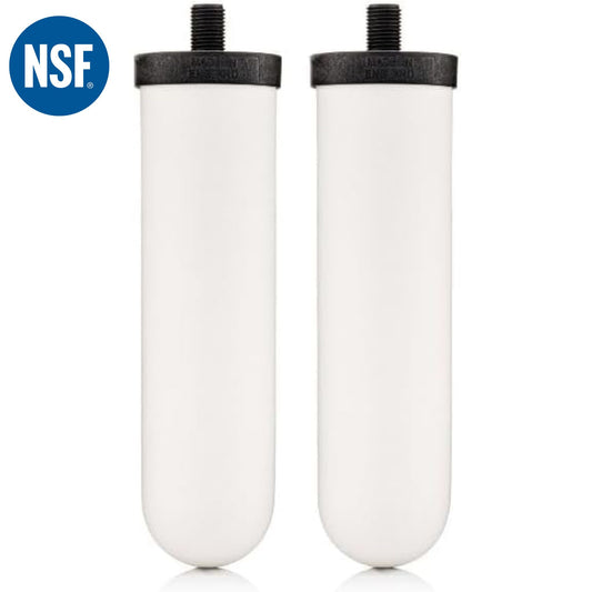 British Berkefeld Ultra Sterasyl replacement ceramic water filters – set of 2 for gravity systems